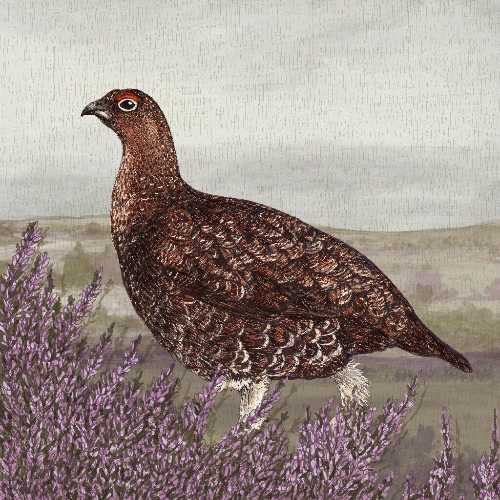 Grouse Signed and Mounted Giclée Art Print - Image 5