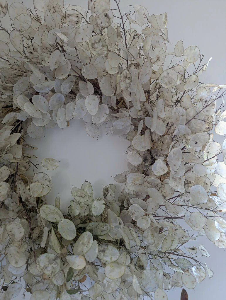 Handmade Dried Lunaria Wreath | Honesty Flower - Image 10