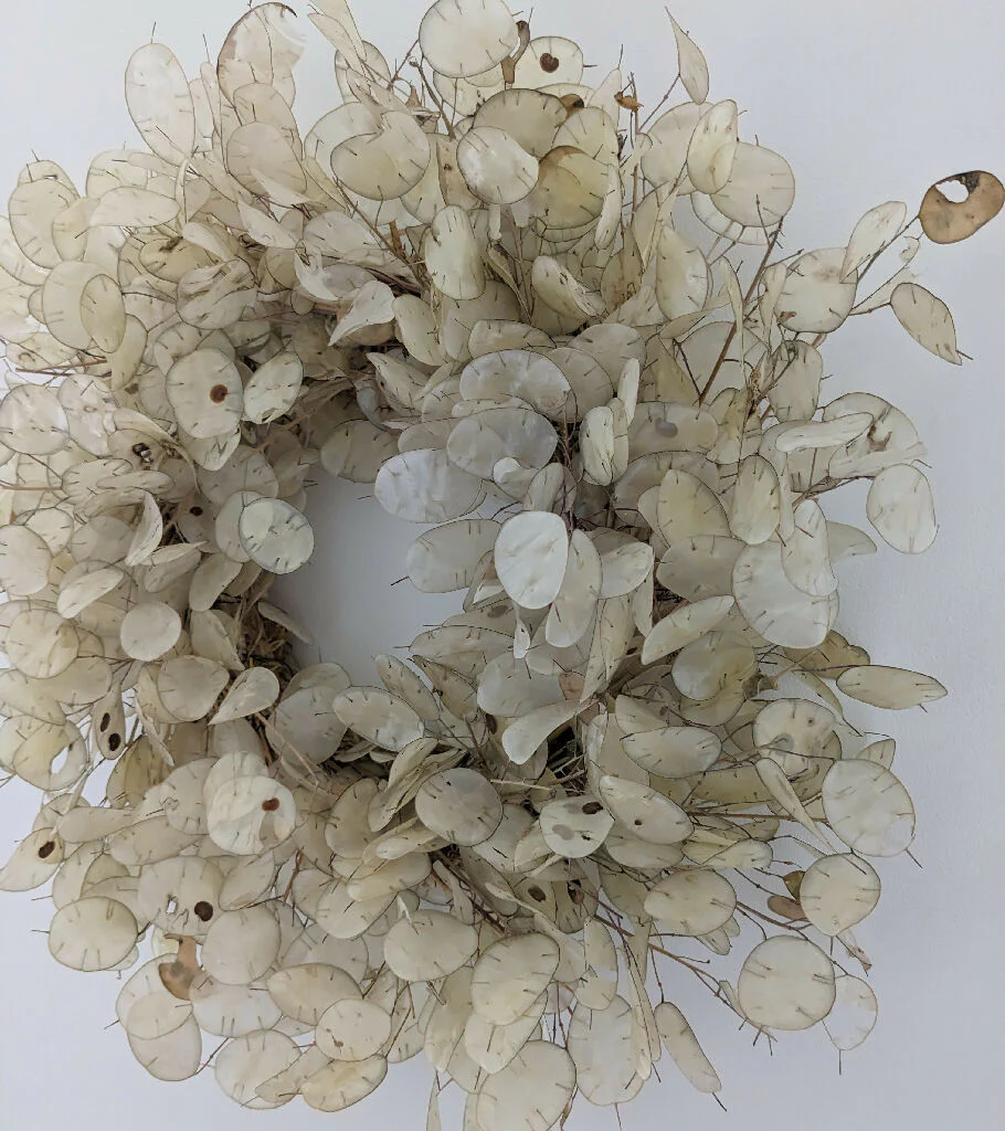 Handmade Dried Lunaria Wreath | Honesty Flower - Image 3