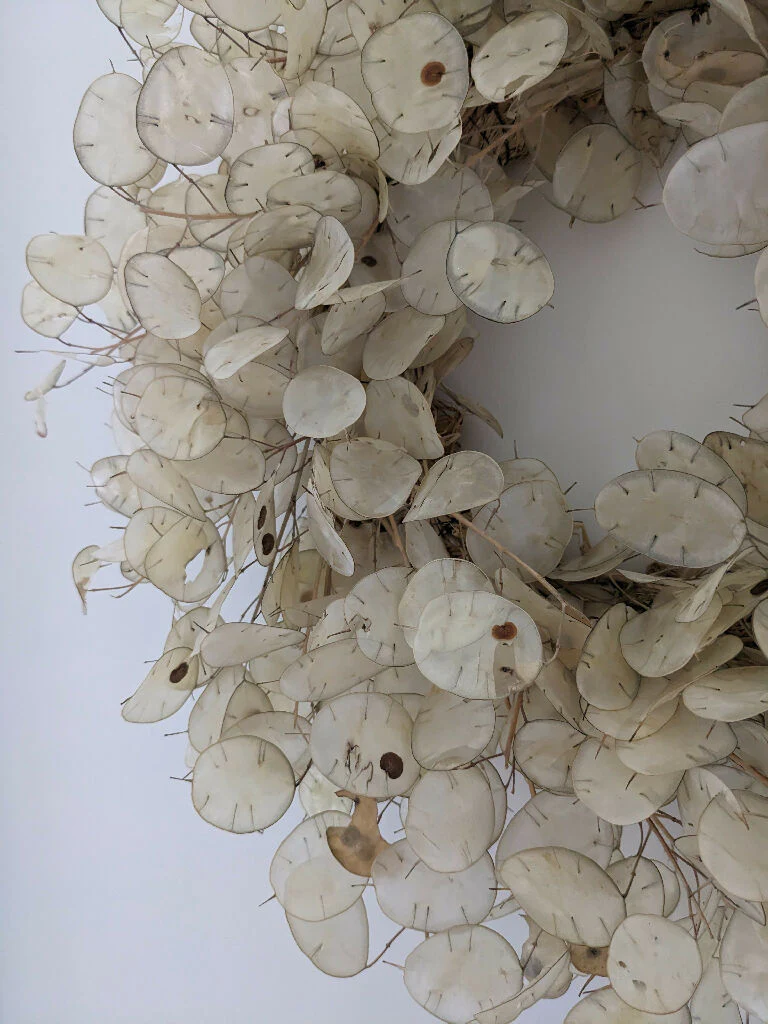 Handmade Dried Lunaria Wreath | Honesty Flower - Image 4