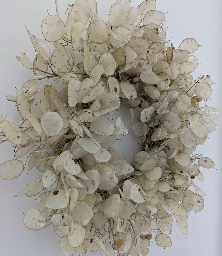 Handmade Dried Lunaria Wreath | Honesty Flower - Image 5