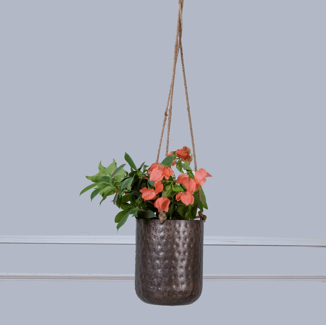 Hanging Antique Silver Planter - Image 2