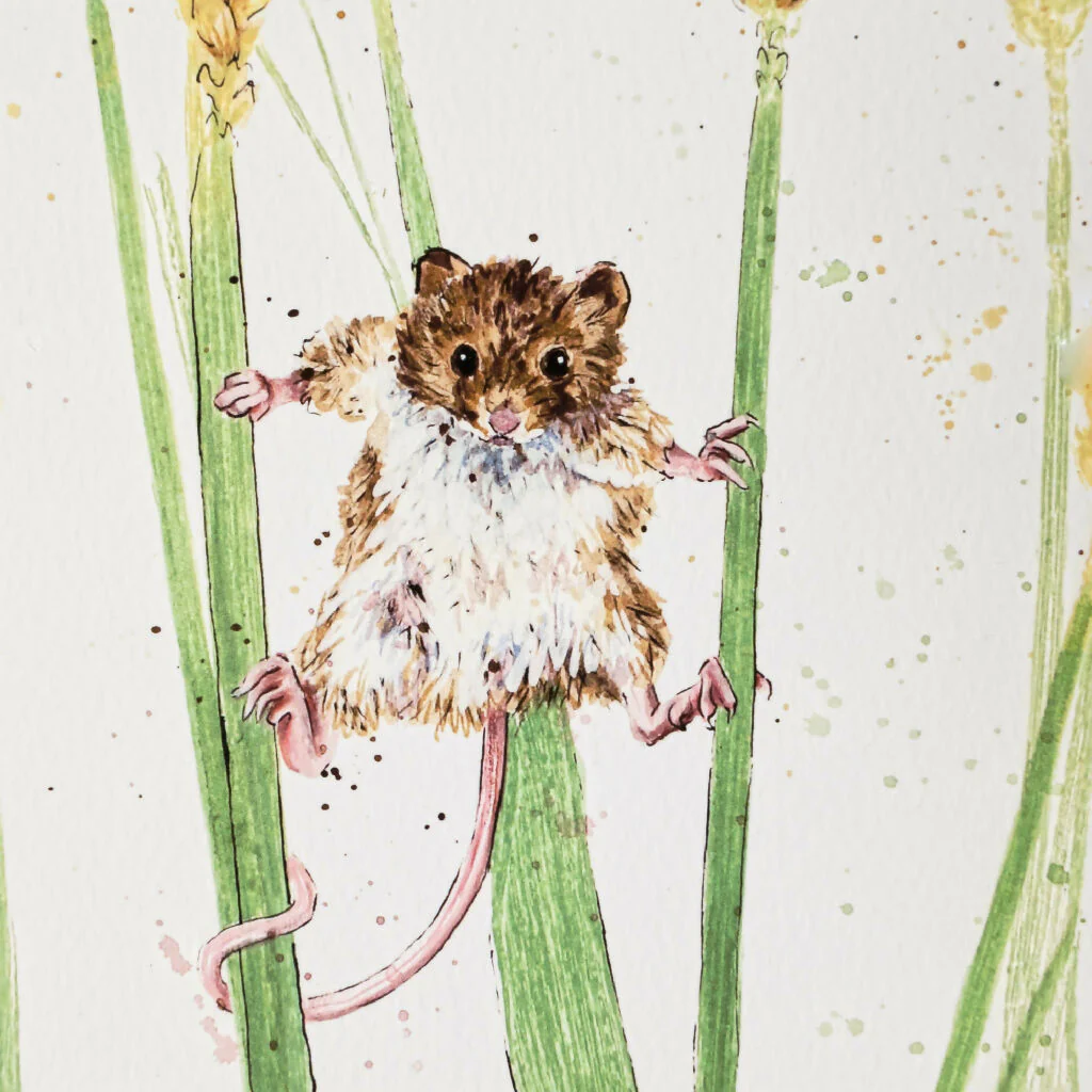 Harvest Mouse Limited Edition Print 'How Do I Get Down?' | Jina Gelder Illustration - Image 2