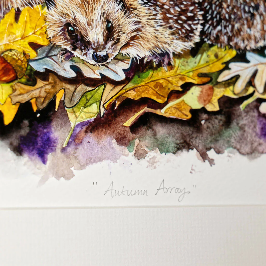 Hedgehogs Limited Edition Print 'Autumnal Snuggles' | Jina Gelder Illustration - Image 3