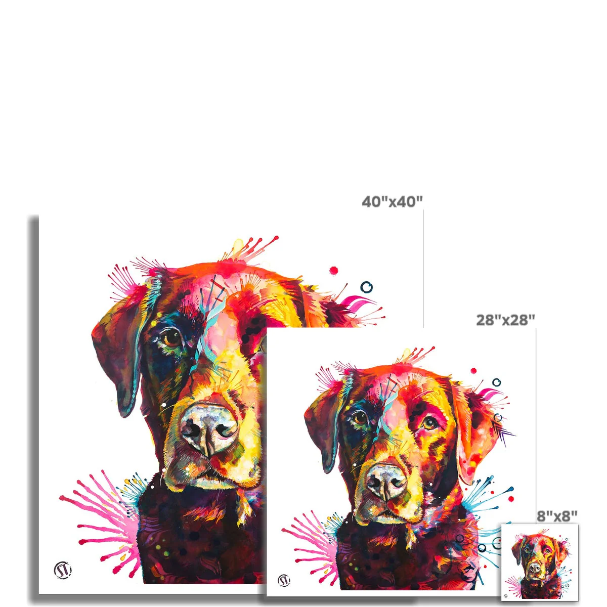 Ivy the Chocolate Labrador Fine Art Print - Image 3