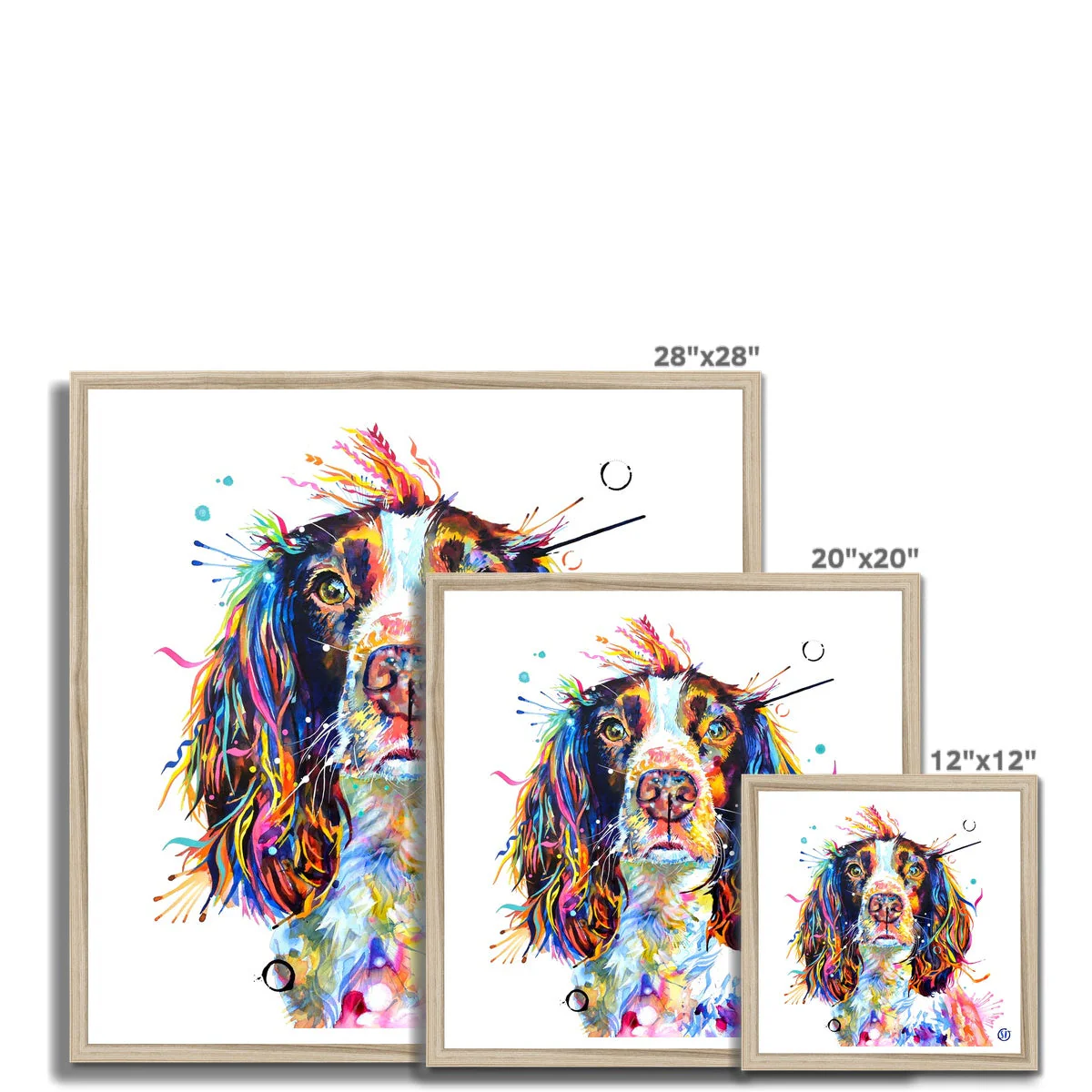 Ivy the Sprocker Spaniel Framed Print - Image 9