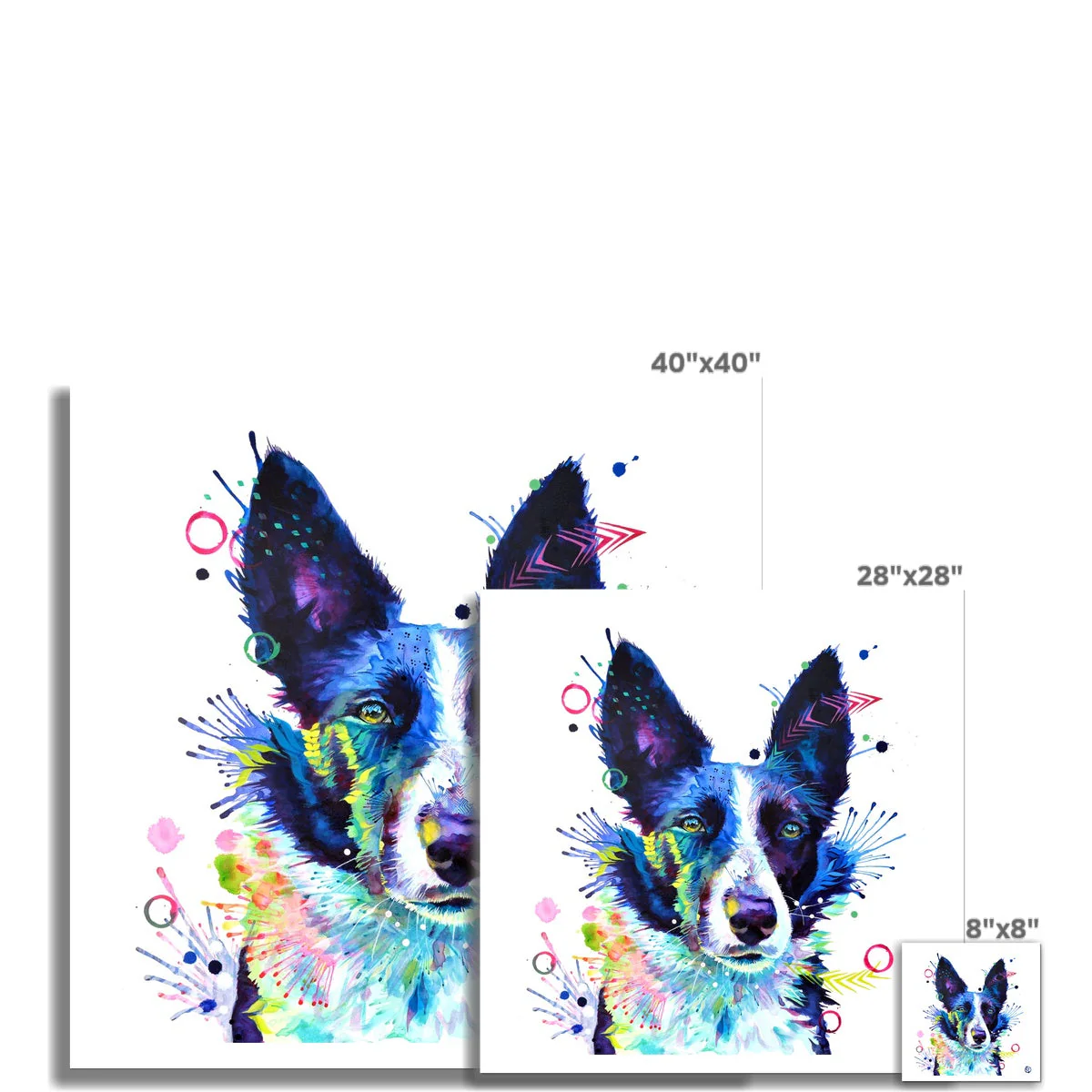 Jess the Border Collie Fine Art Print - Image 3