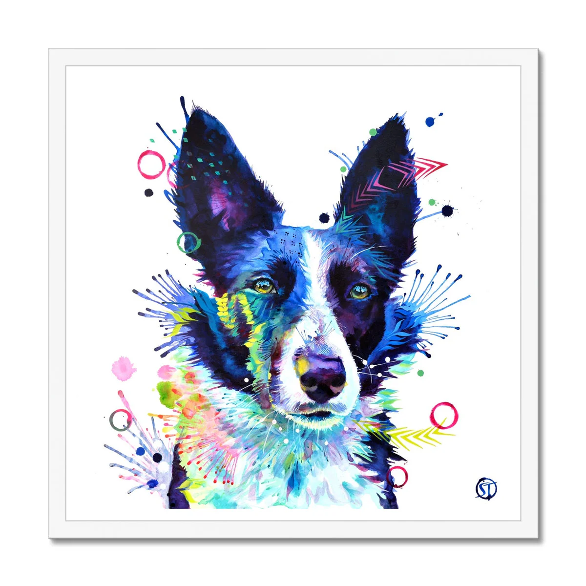 Jess the Border Collie Framed Print - Image 2