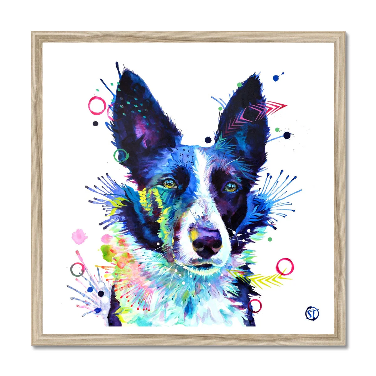 Jess the Border Collie Framed Print - Image 3