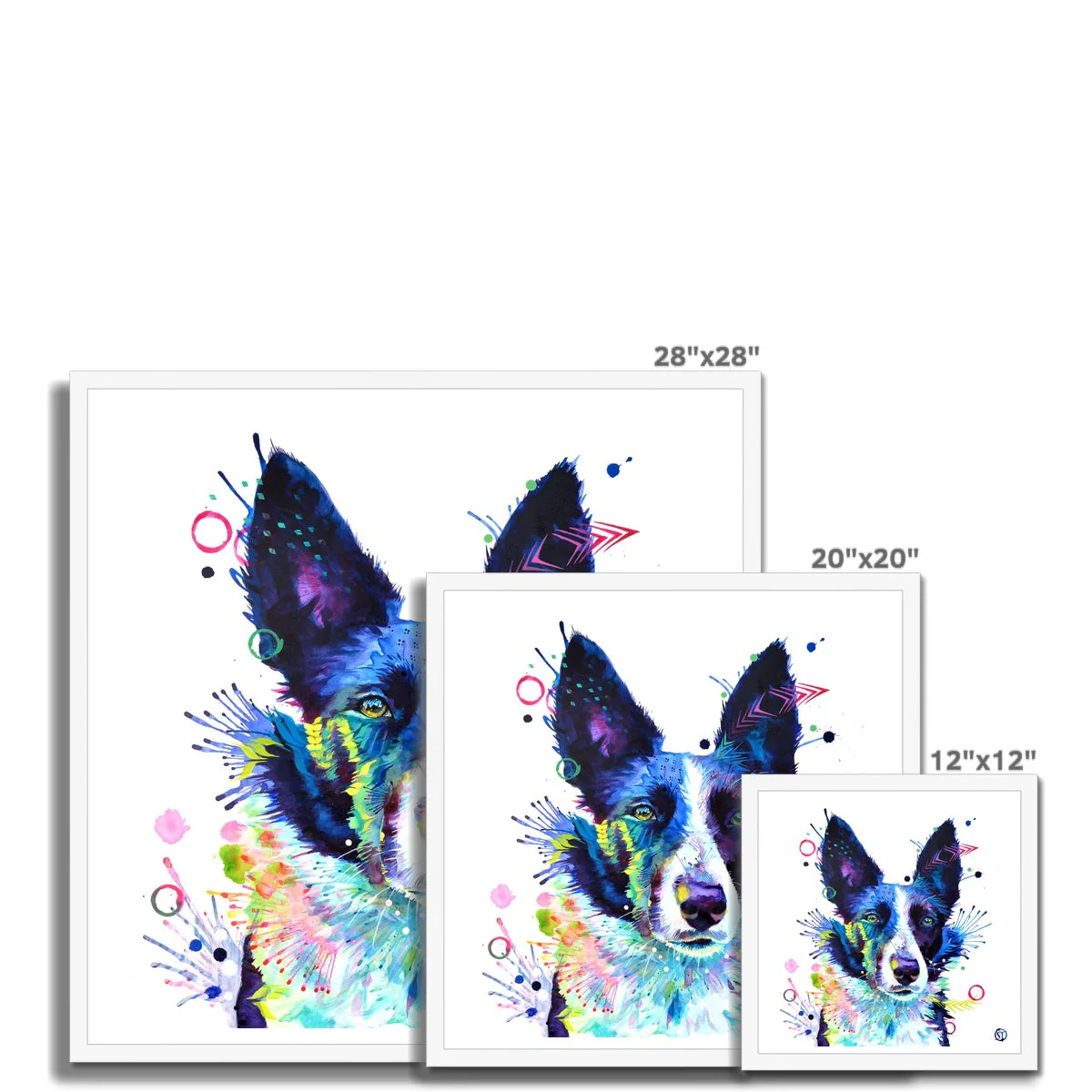 Jess the Border Collie Framed Print - Image 7