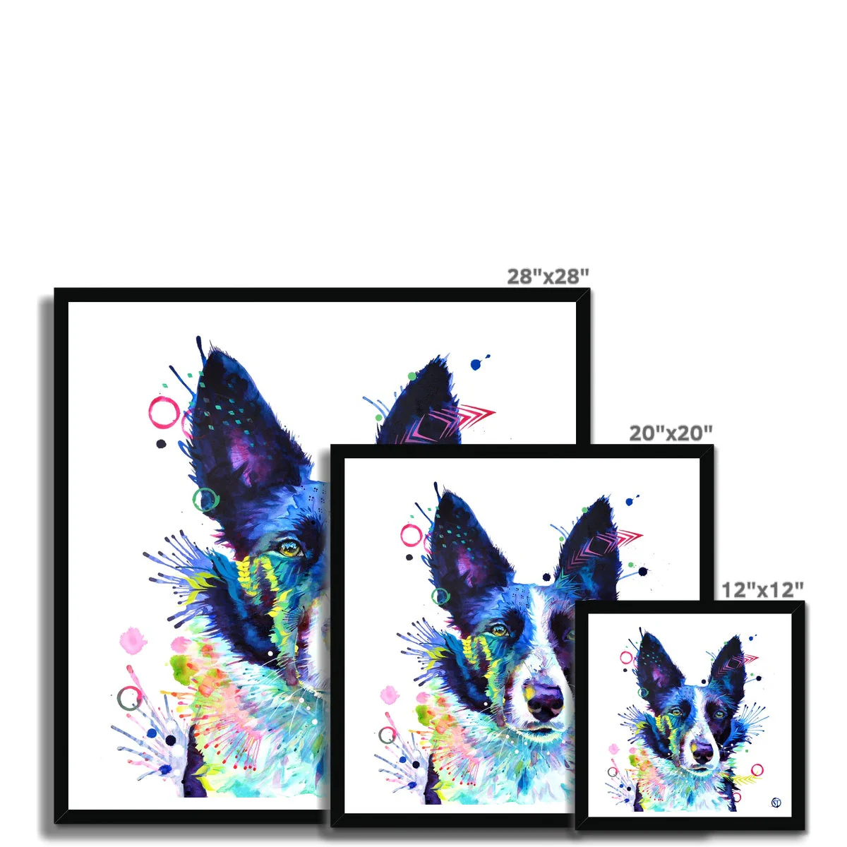 Jess the Border Collie Framed Print - Image 8