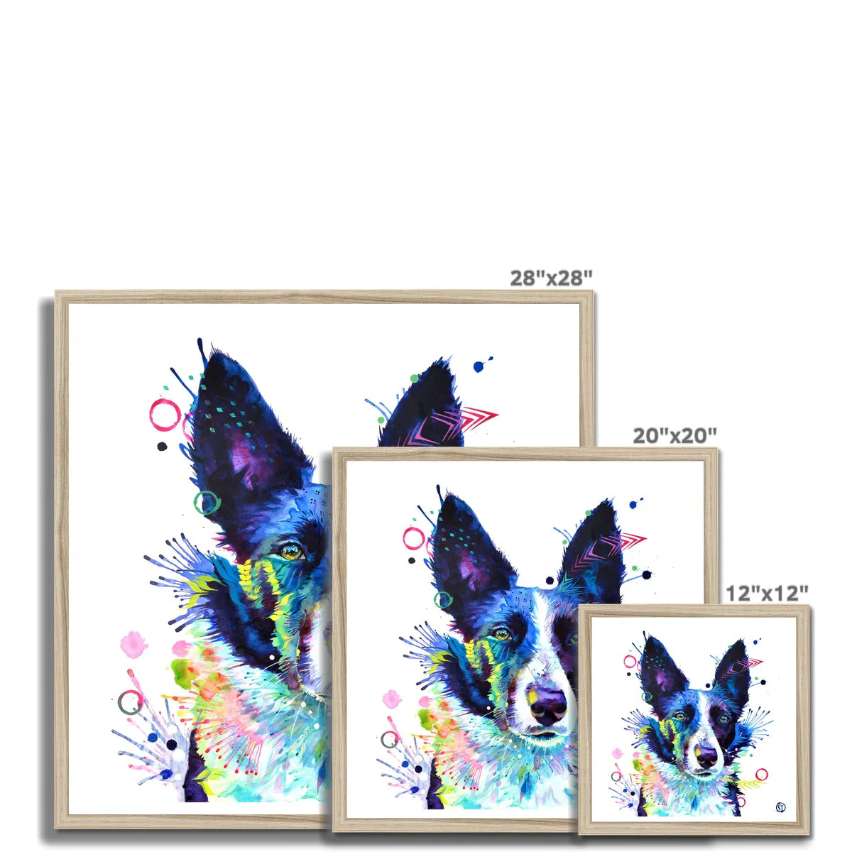 Jess the Border Collie Framed Print - Image 9