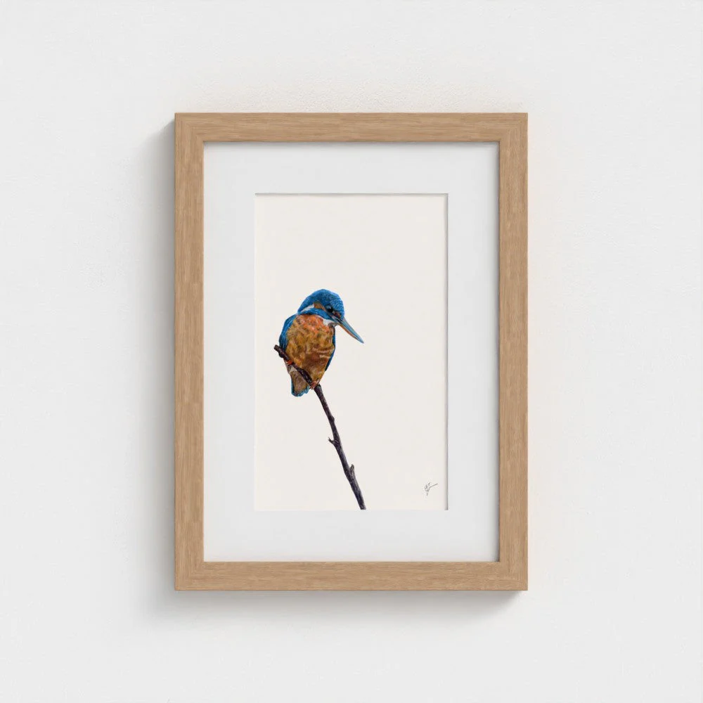 Kingfisher Print - Image 14