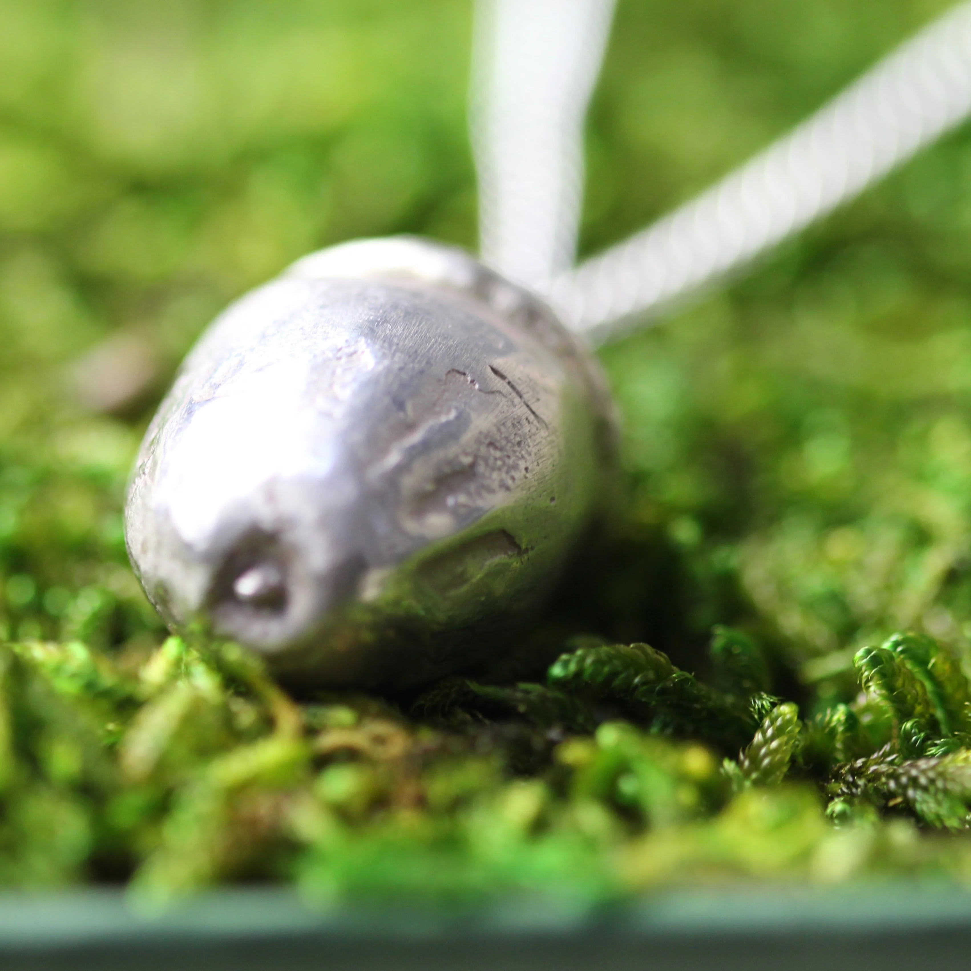 Large capsule Acorn Memory Pendant - Image 8