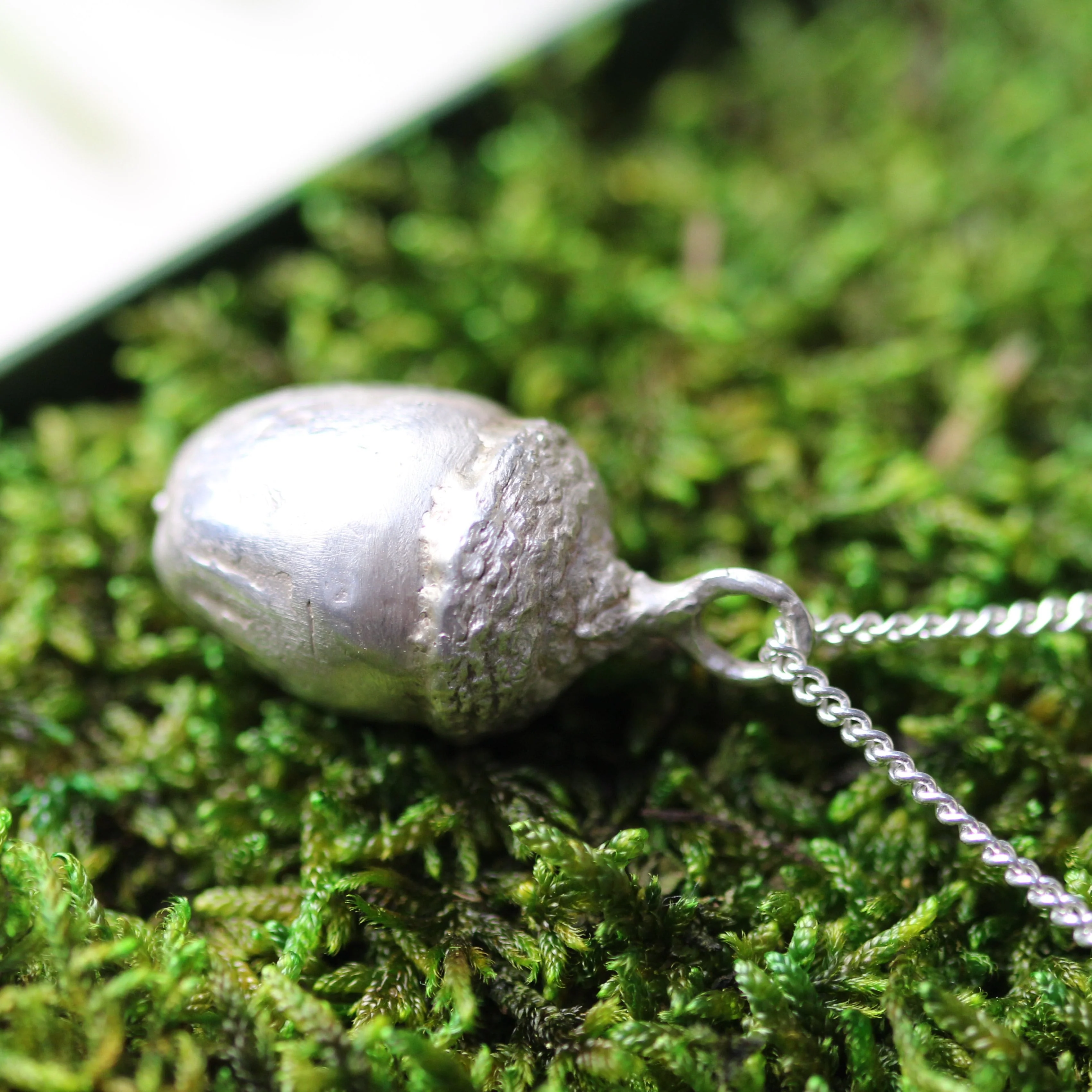 Large capsule Acorn Memory Pendant - Image 9