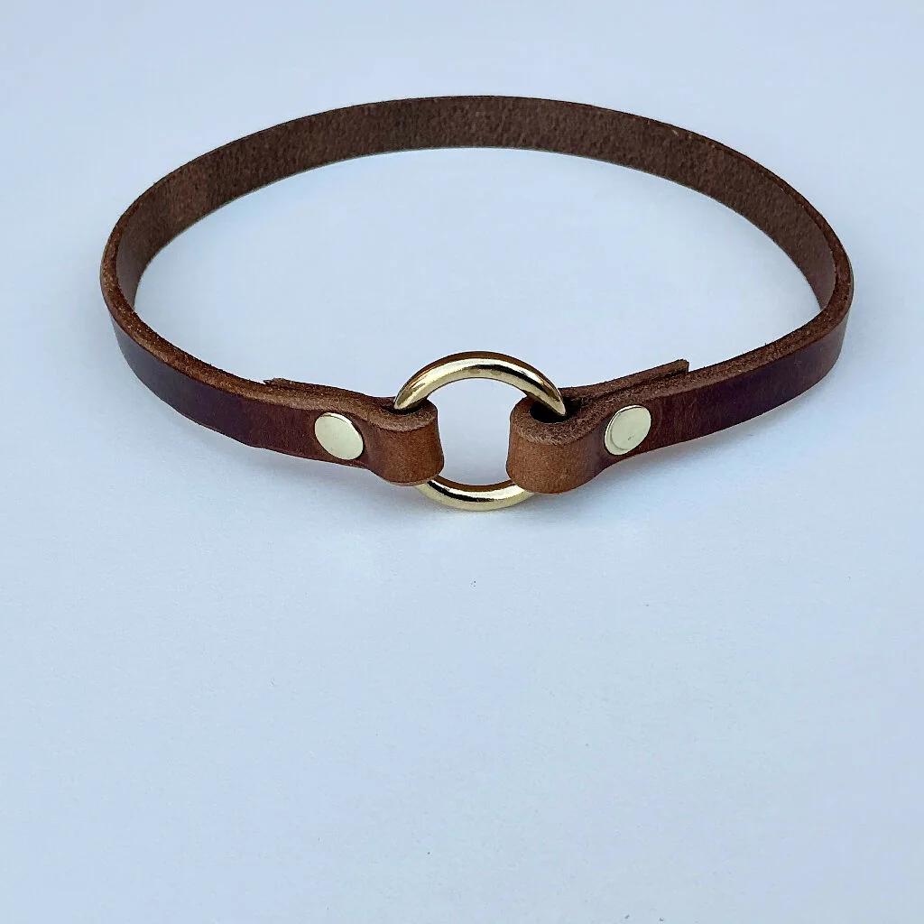 Leather ID House Collar - Image 3