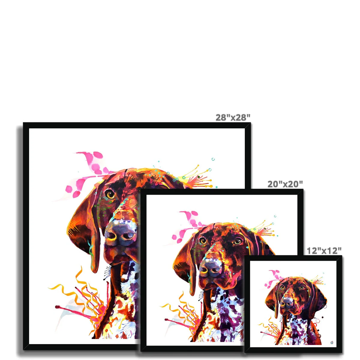 Lola the German Pointer Framed Print - Image 8