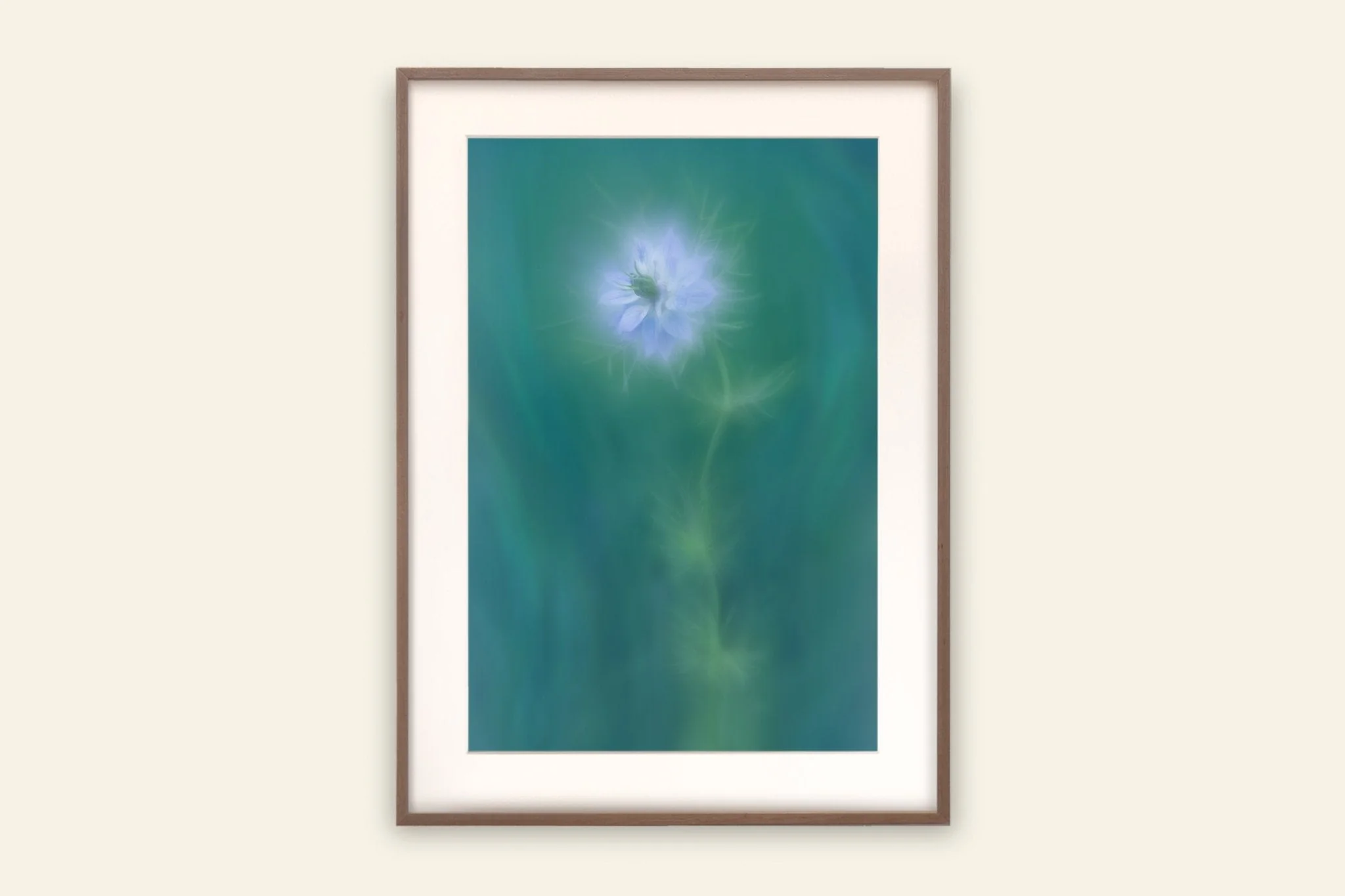 Love-In-A-Mist - Flower Art Print for Home Interiors - Image 2
