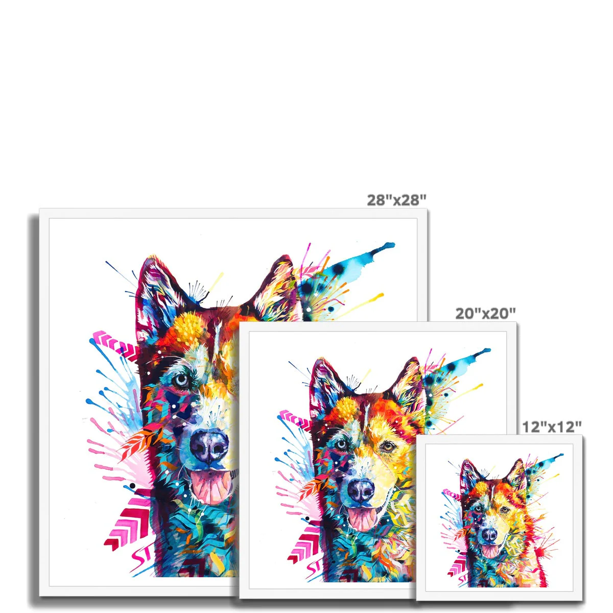 Luna the Husky Framed Print - Image 10