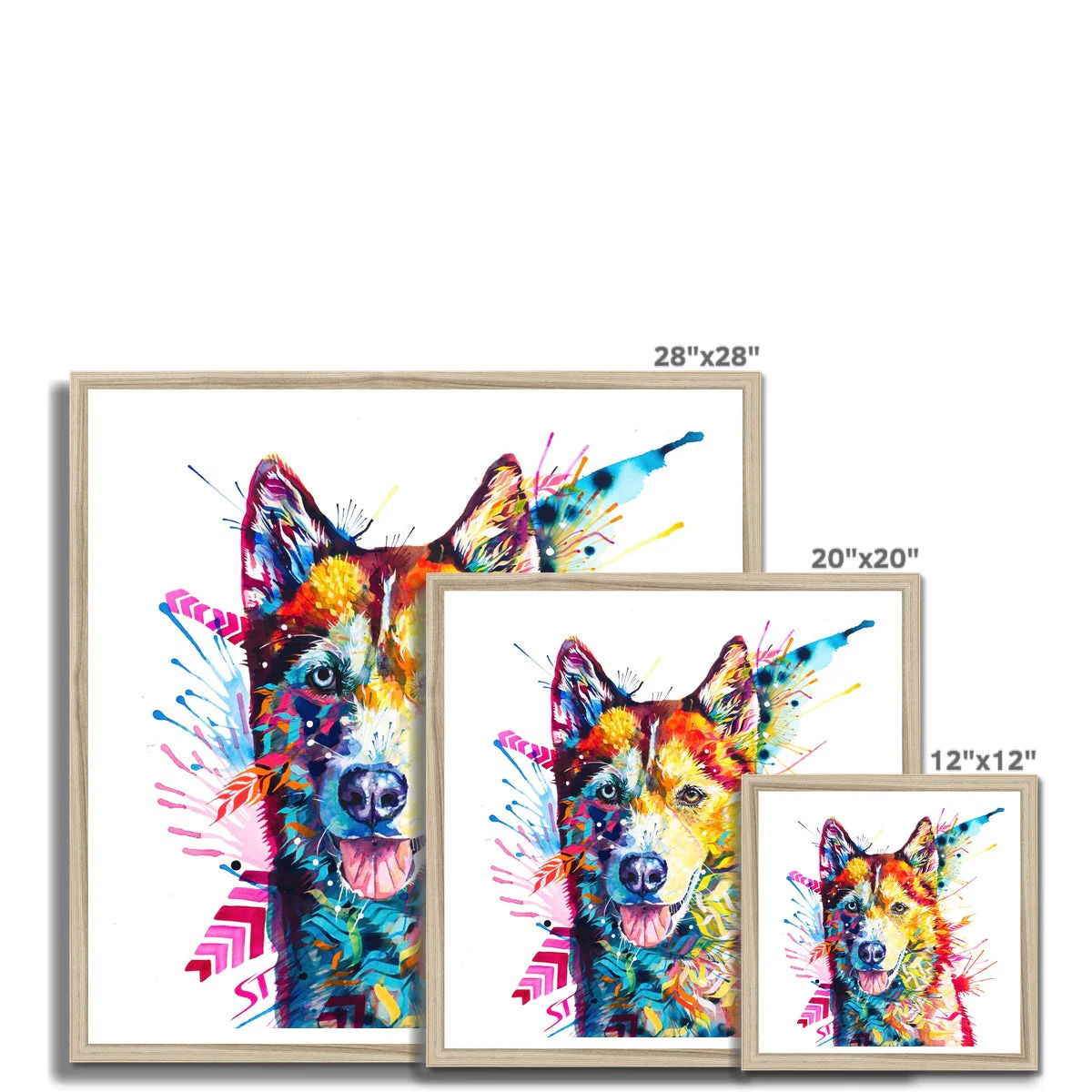 Luna the Husky Framed Print - Image 12