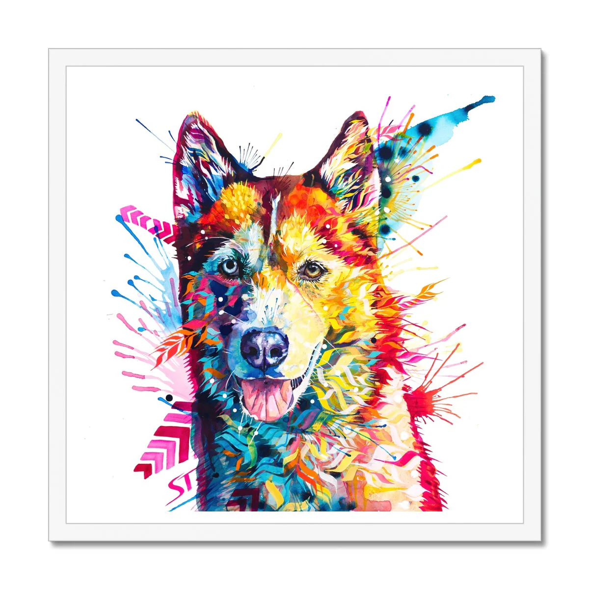 Luna the Husky Framed Print - Image 2