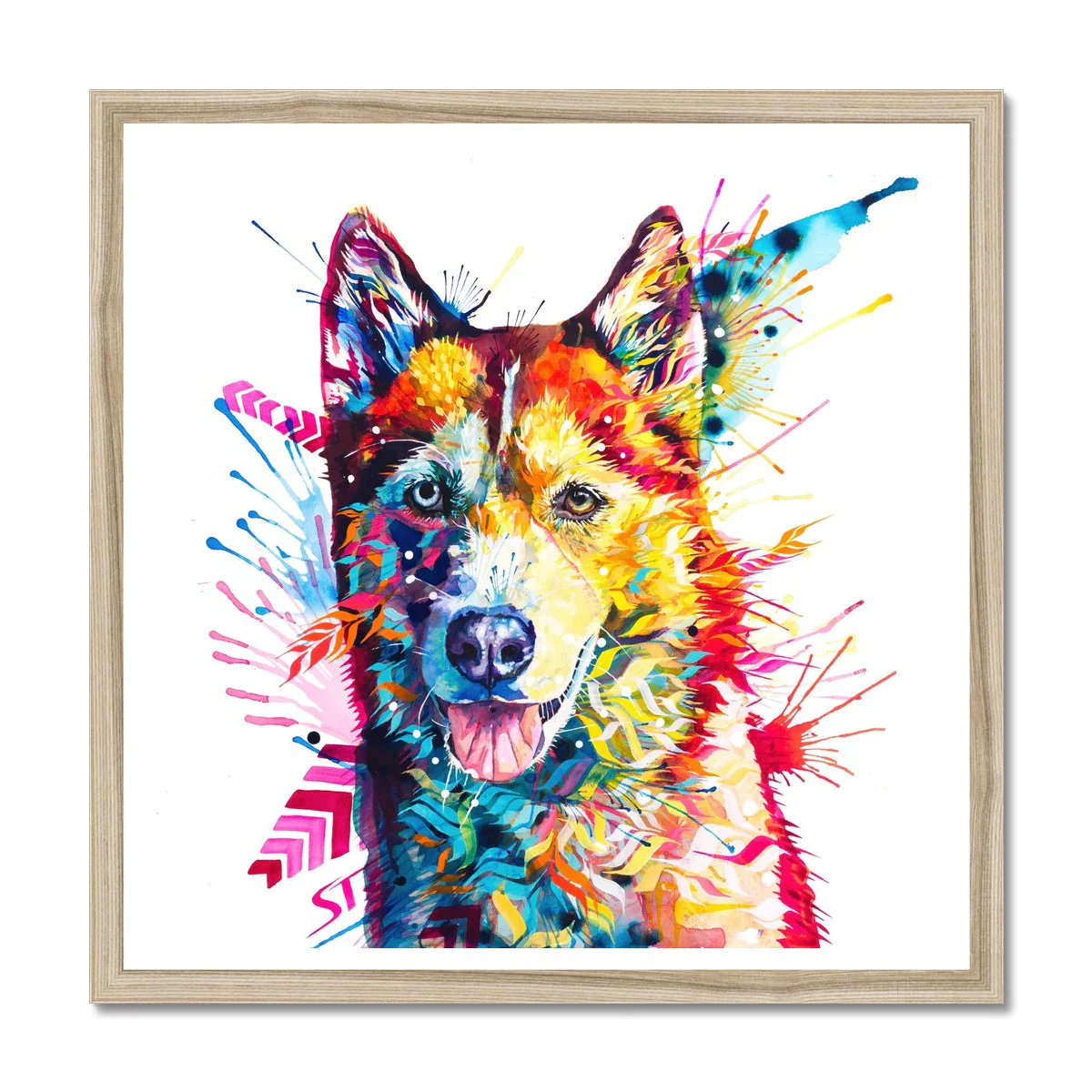 Luna the Husky Framed Print - Image 3