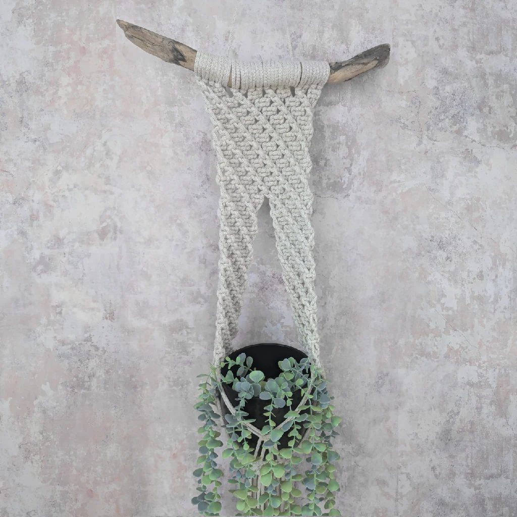Macrame Wall Hanging Plant Display