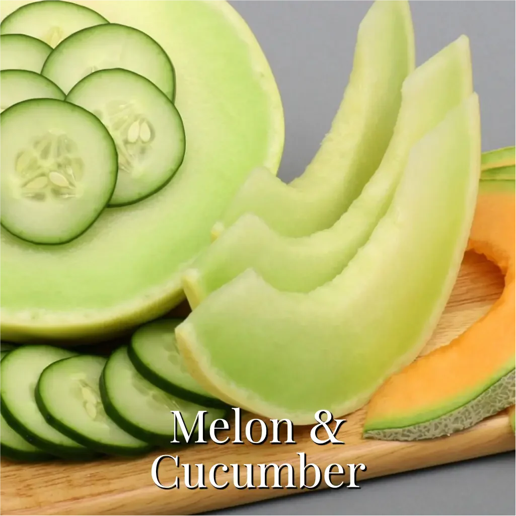 Melon & Cucumber Reed Diffuser - Image 4