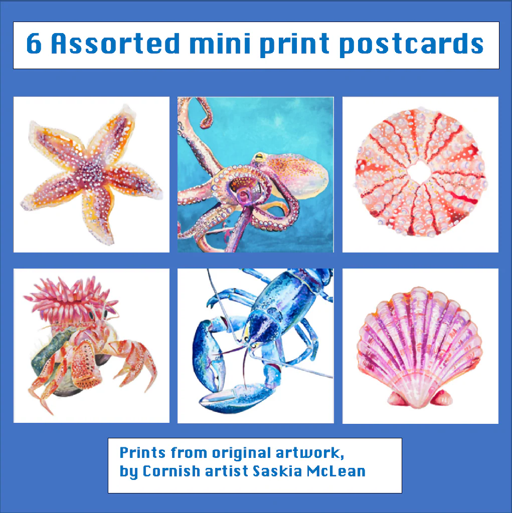 Mini Print Postcard Set - Image 4