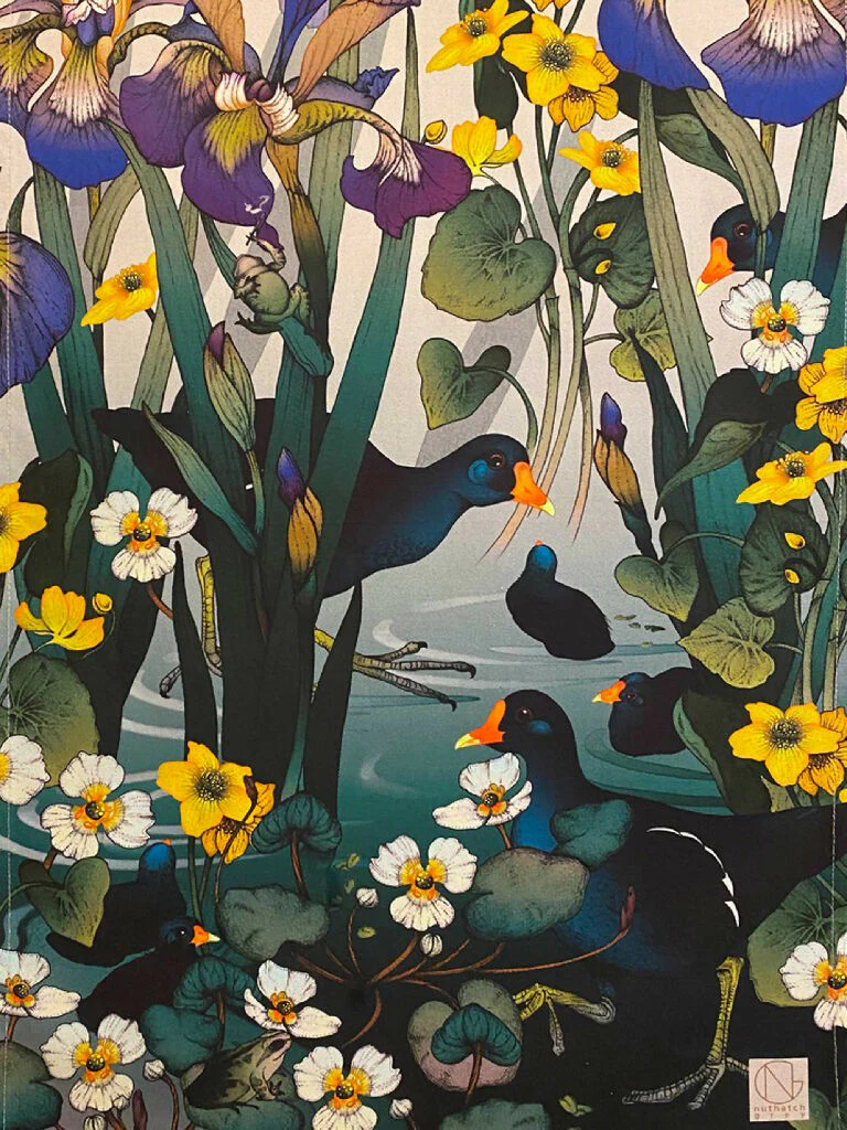 Moddershall Moorhen - Organic Cotton Tea Towel - Made in the UK - Image 5