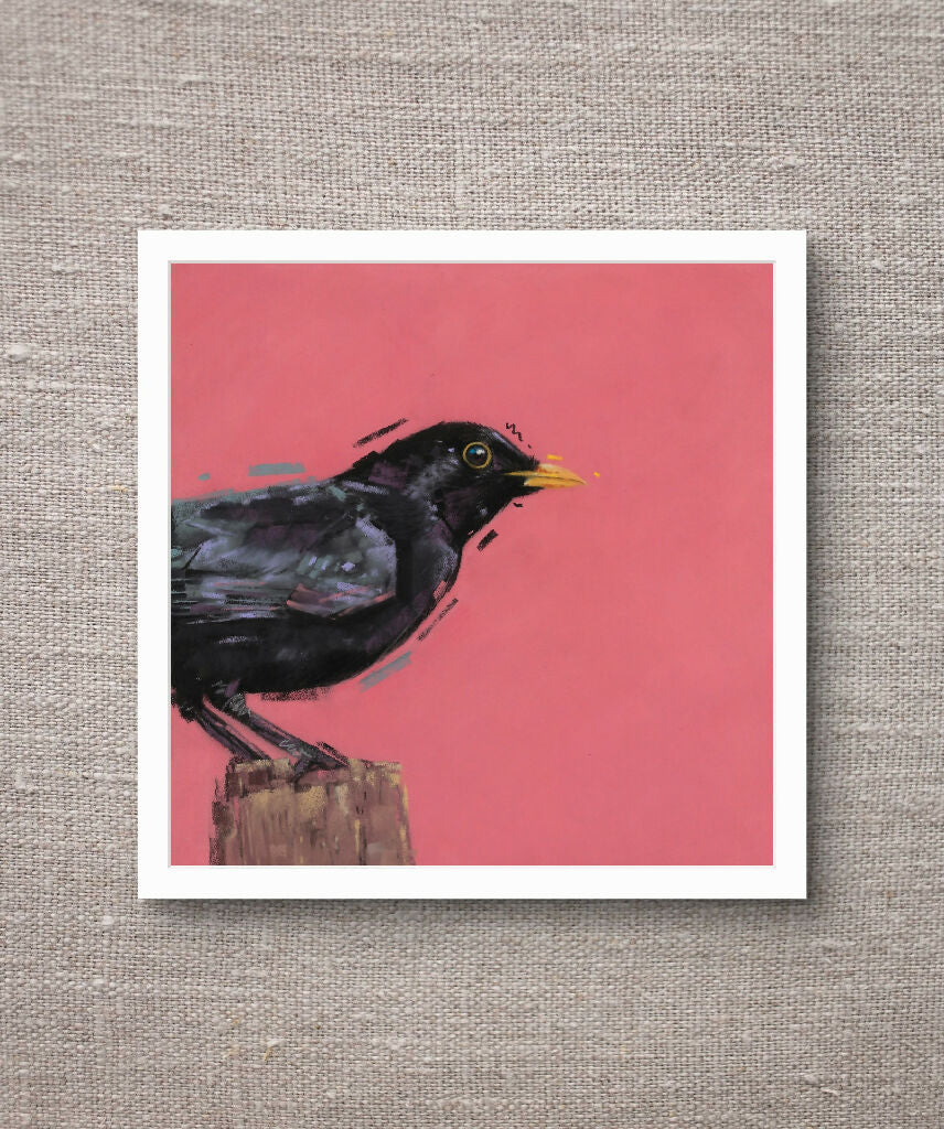 Morning Perch Blackbird Giclee Fine Art Print with Coral Pink Background - Image 3