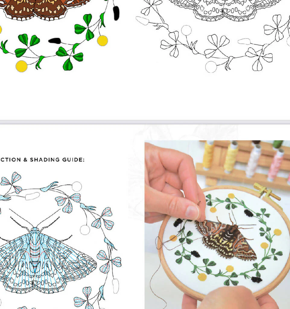 Mother Shipton and Black Medick Silk Shading Embroidery Kit - Image 5