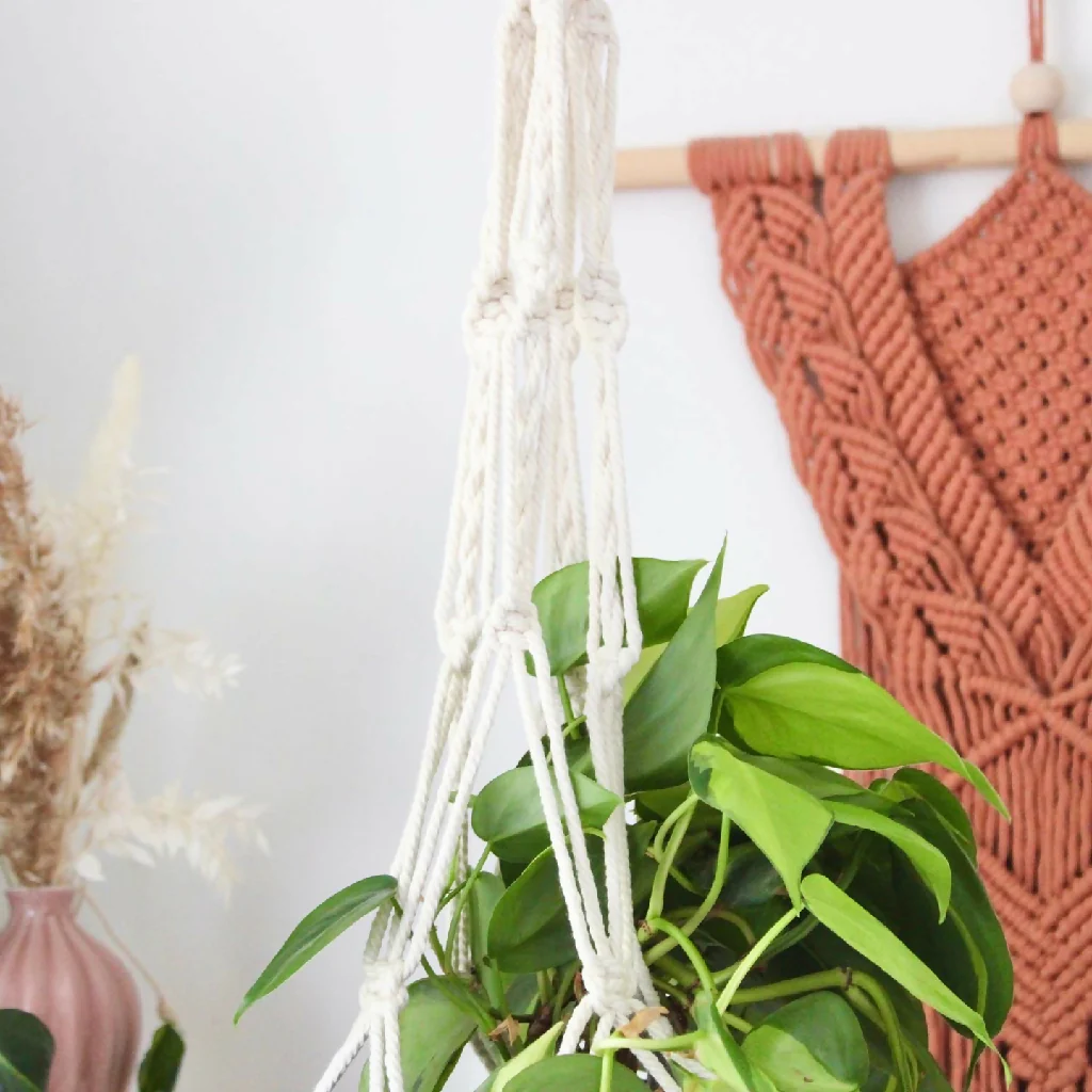 Natural Macrame Plant Hanger - Image 4