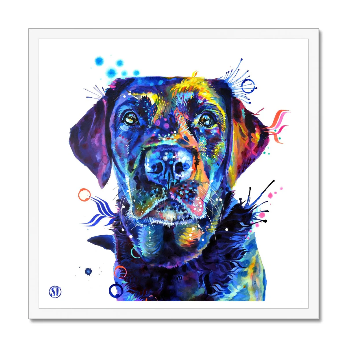 Neli the Black Labrador Framed Print - Image 2