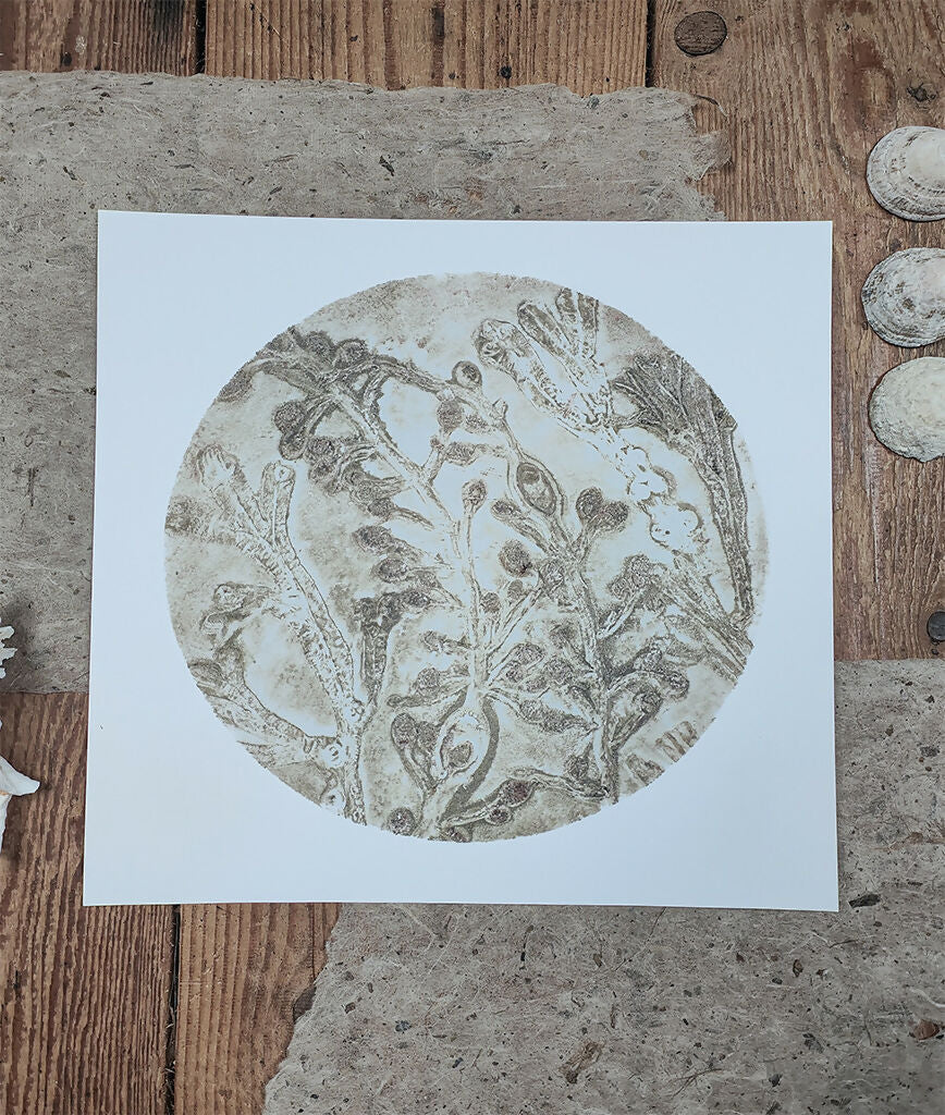 Nude Circular Seaweed Knotted Wrack and Channelled Wrack Gelli Print - Image 2