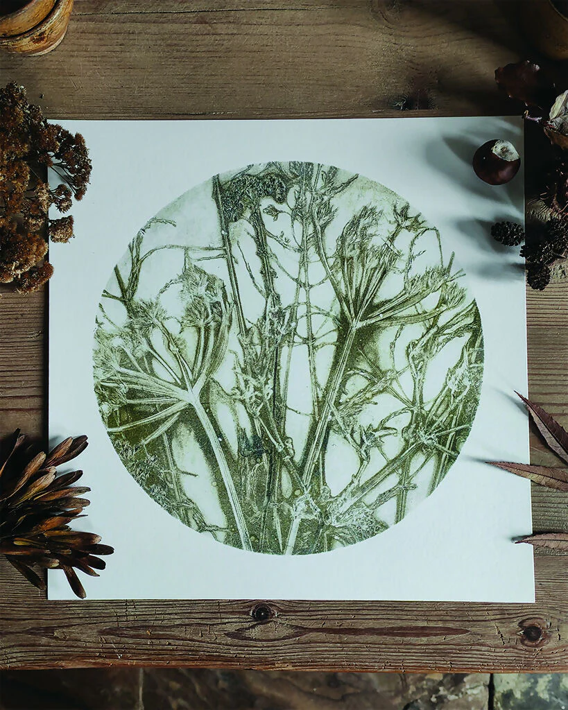 Olive Circular Gelli Print Wildflower and Grasses Giclee Print - Image 2