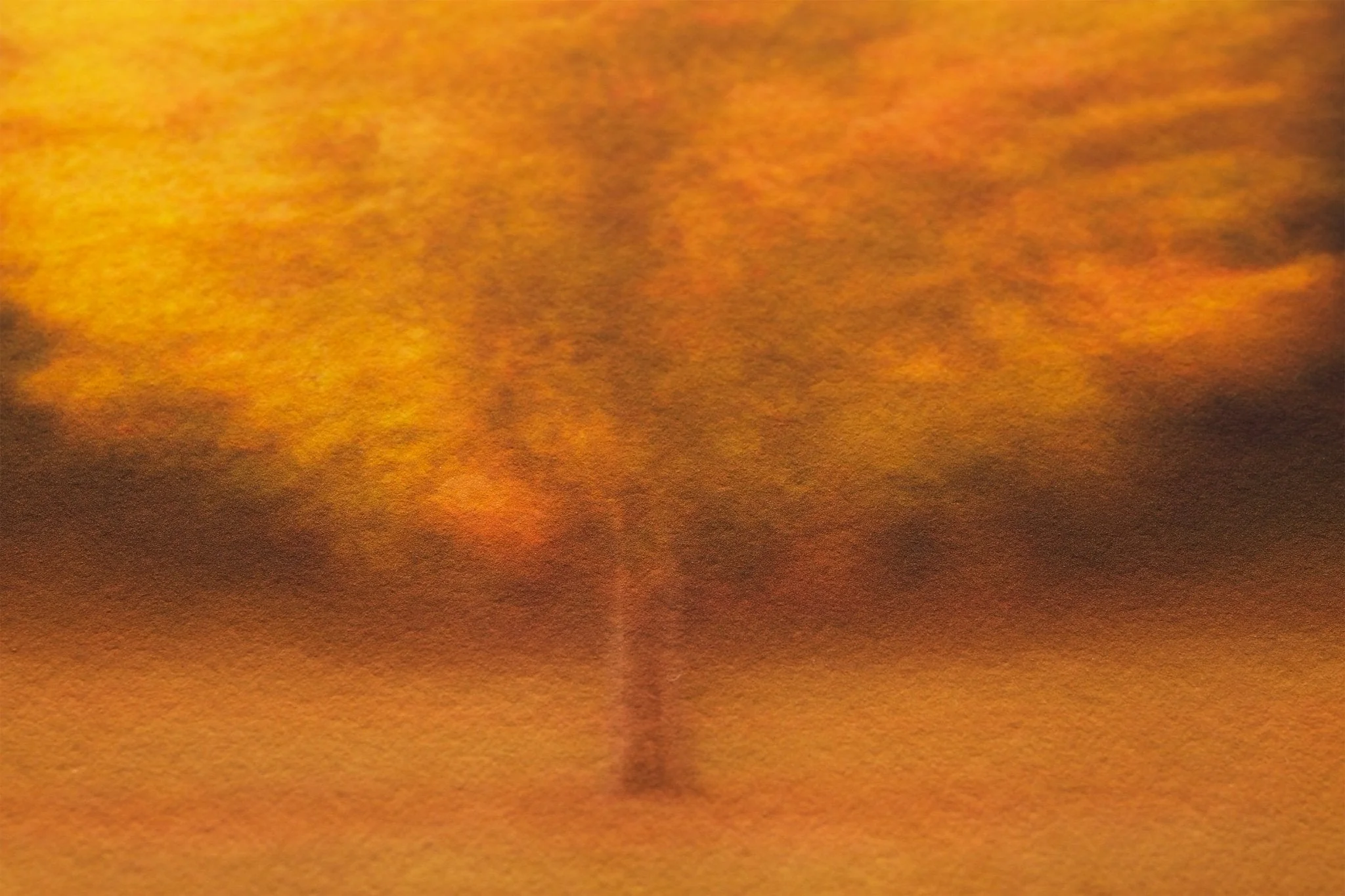 Orli - Luxury Wall Art Tree Print - Image 6