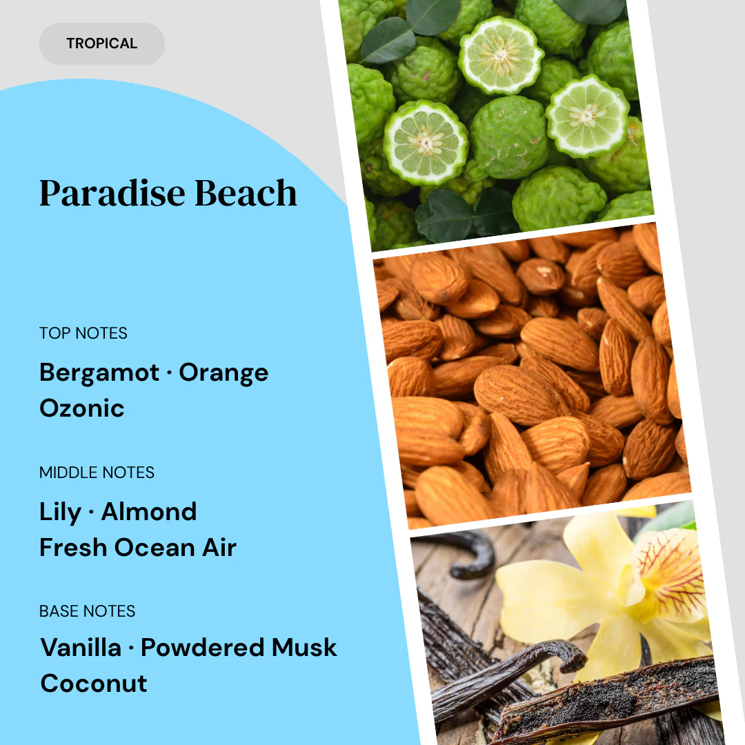 Paradise Beach Reed Diffuser - Image 3