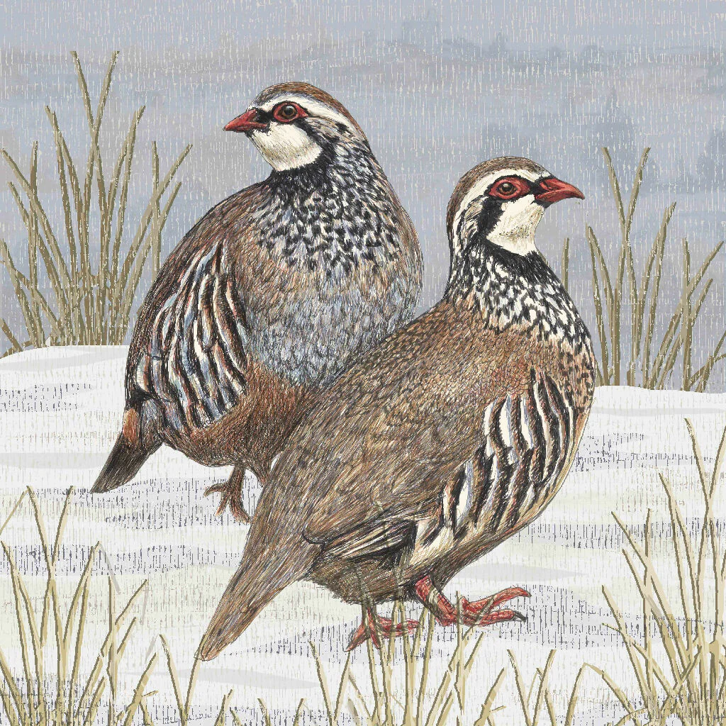 Partridge Signed and Mounted Giclée Art Print - Image 5