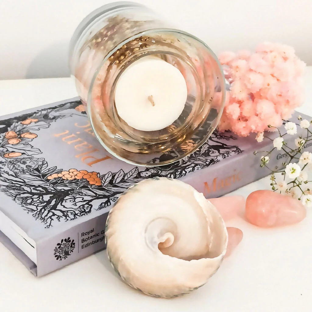 PINK CHAMPAGNE REFILLABLE BOTANICAL SCENTED CANDLE - Image 4