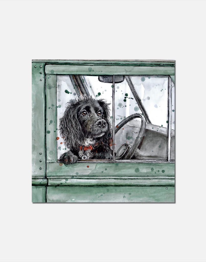 Places to Go| signed Limited Edition Print - Image 2