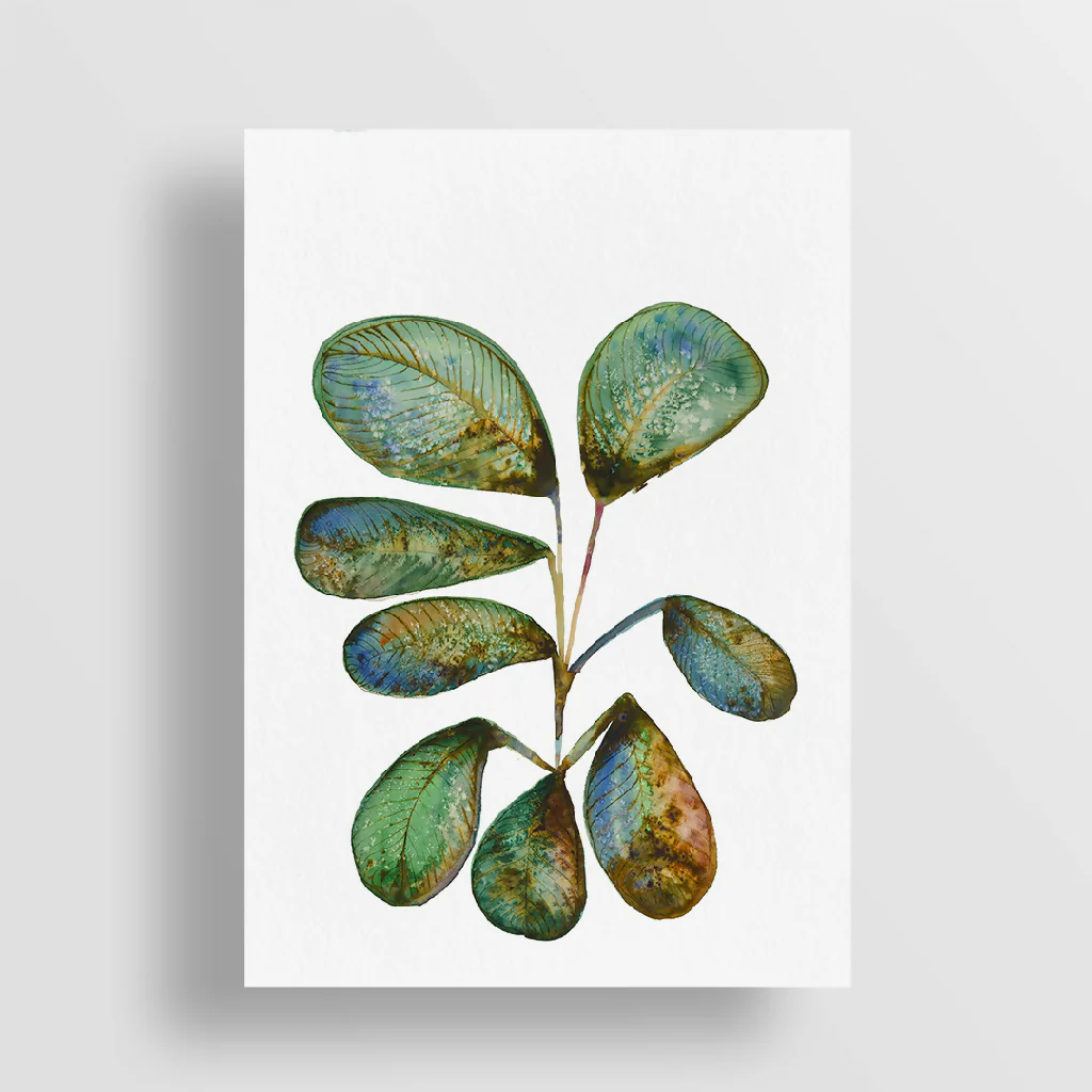 Plant Ink & Watercolour Giclée Fine Art Print - Image 2
