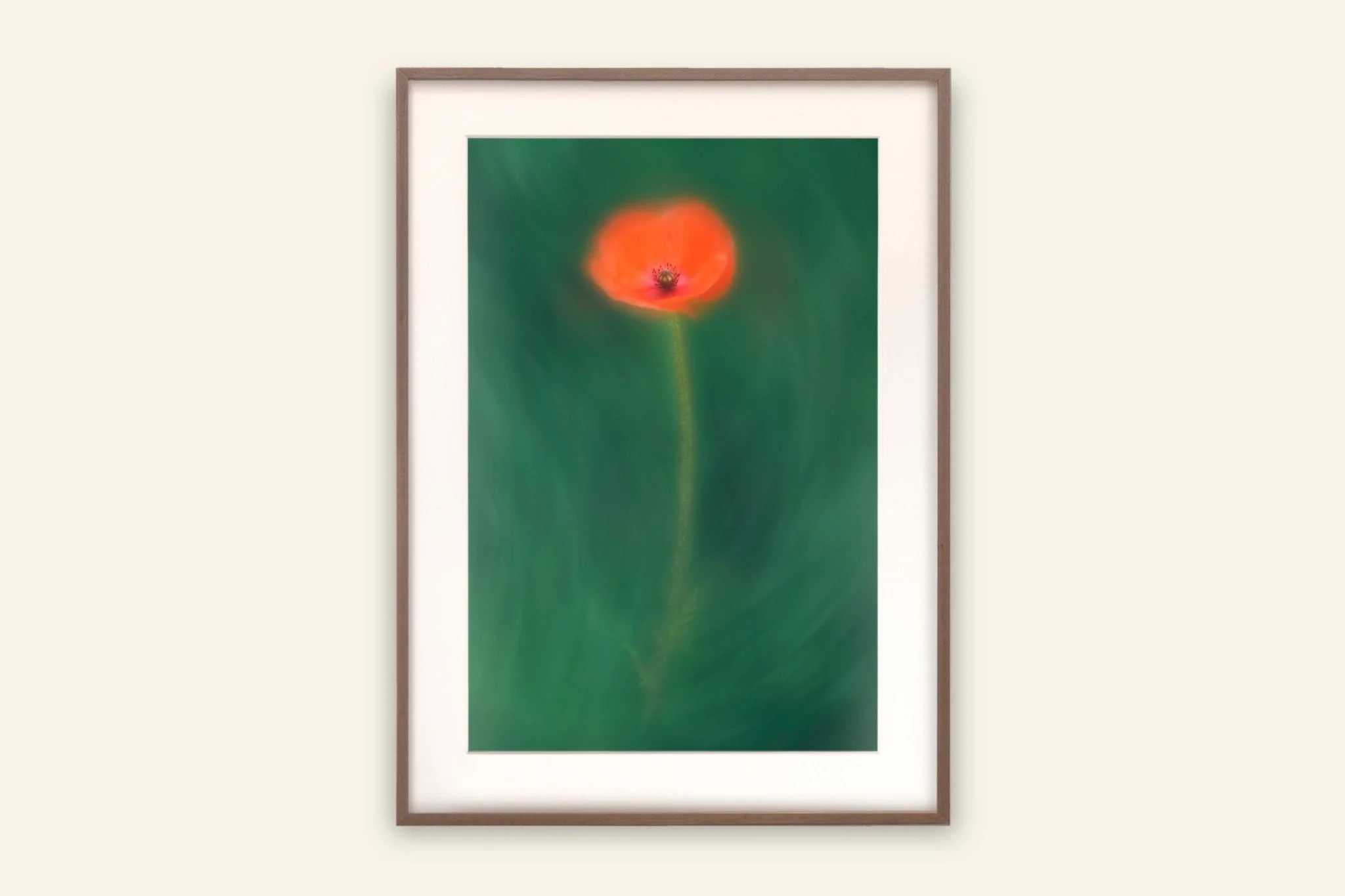 Poppy - Flower Art Print for Home Interiors - Image 2