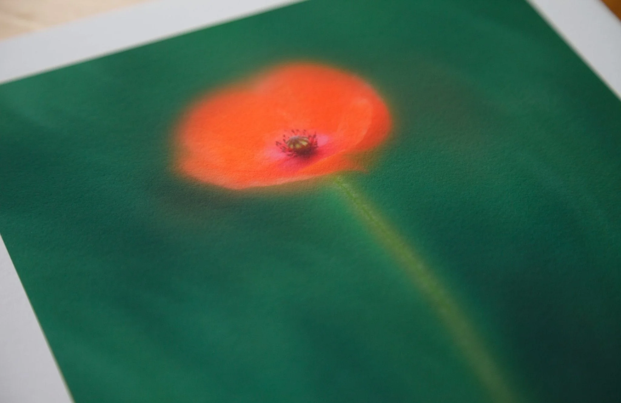 Poppy - Flower Art Print for Home Interiors - Image 4