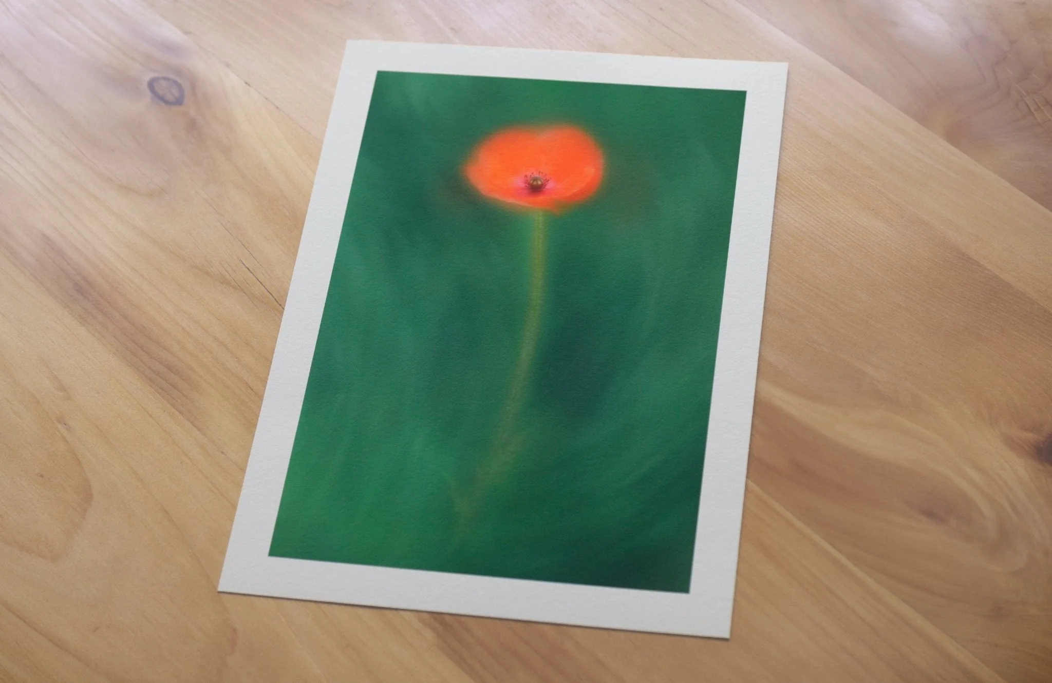 Poppy - Flower Art Print for Home Interiors - Image 7
