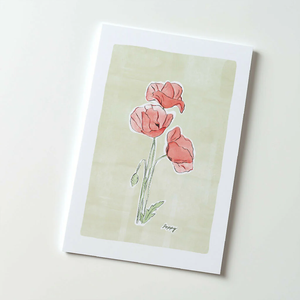 Poppy Flower Illustration Print - Image 3