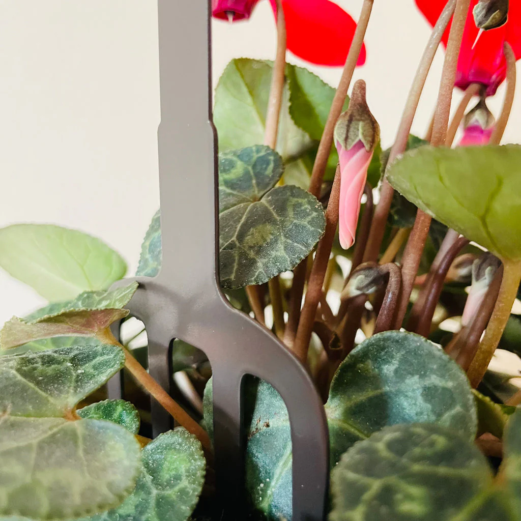 Pot Stems - Wren on a fork - Image 3