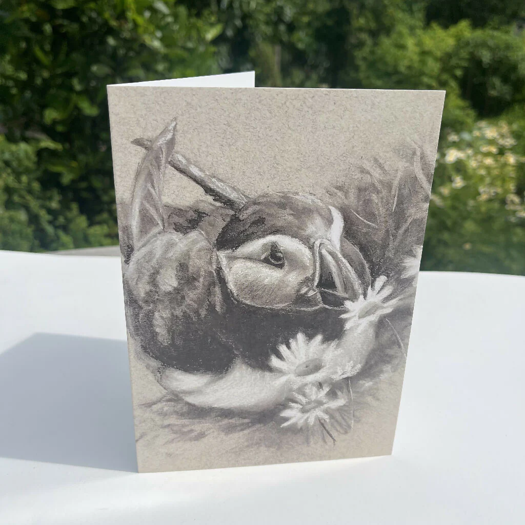 Puffin Greeting Card
