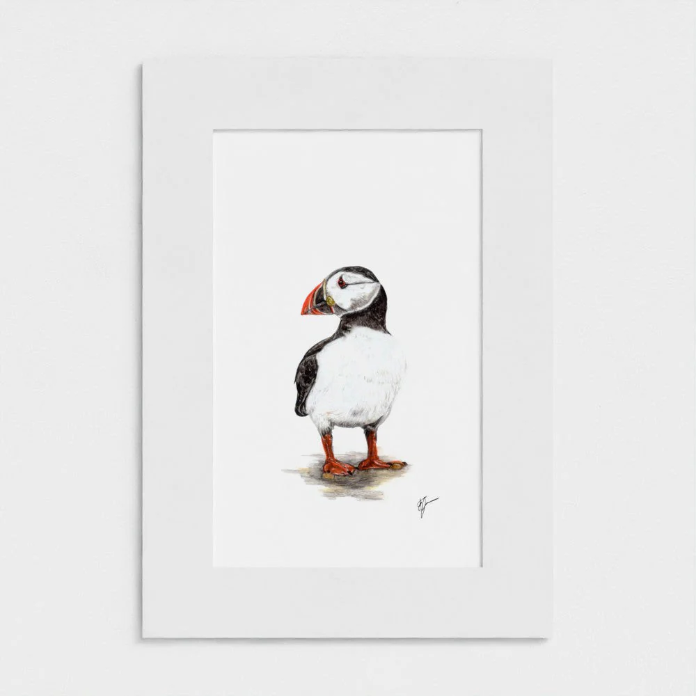 Puffin Print