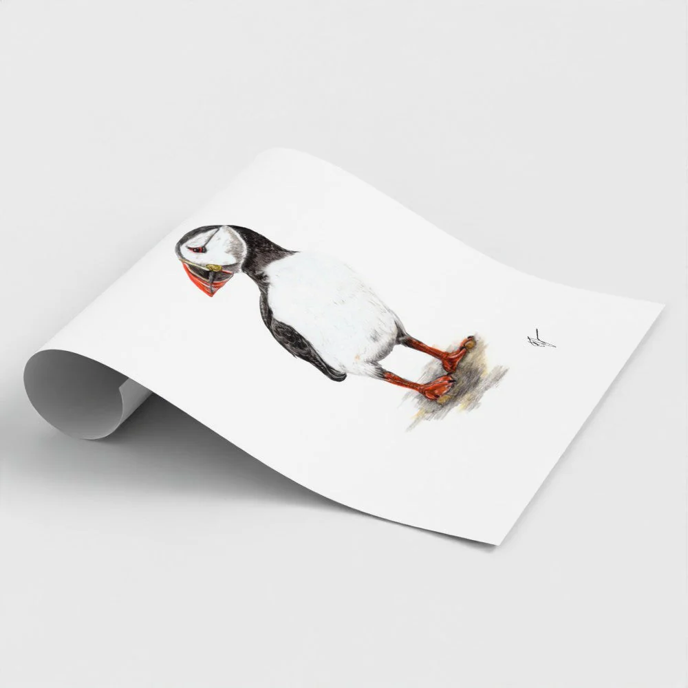 Puffin Print - Image 6